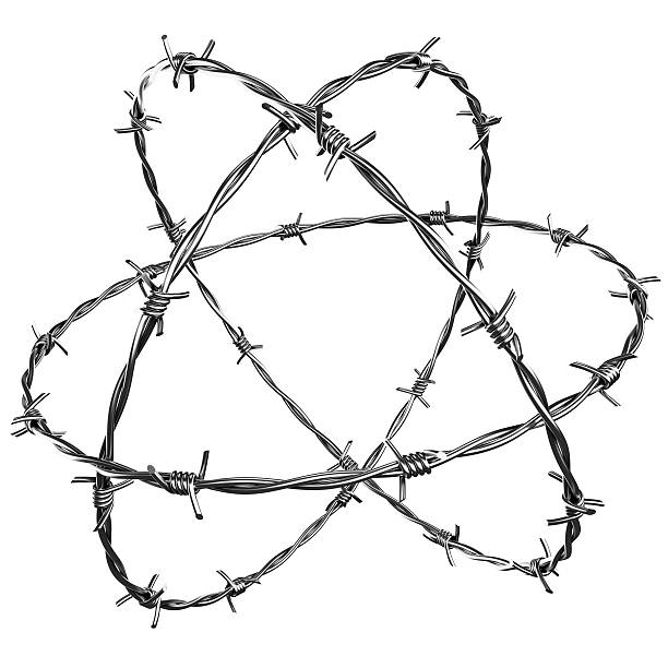 Professional China direct factory barbed wire roll price fence  barbed wire price per roll  barbed wire