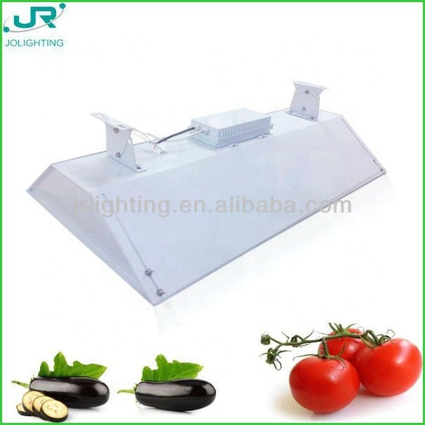 low price bi-spectrum induction grow lamp 650w Ra 70 plant lamp full spectrum led grow light