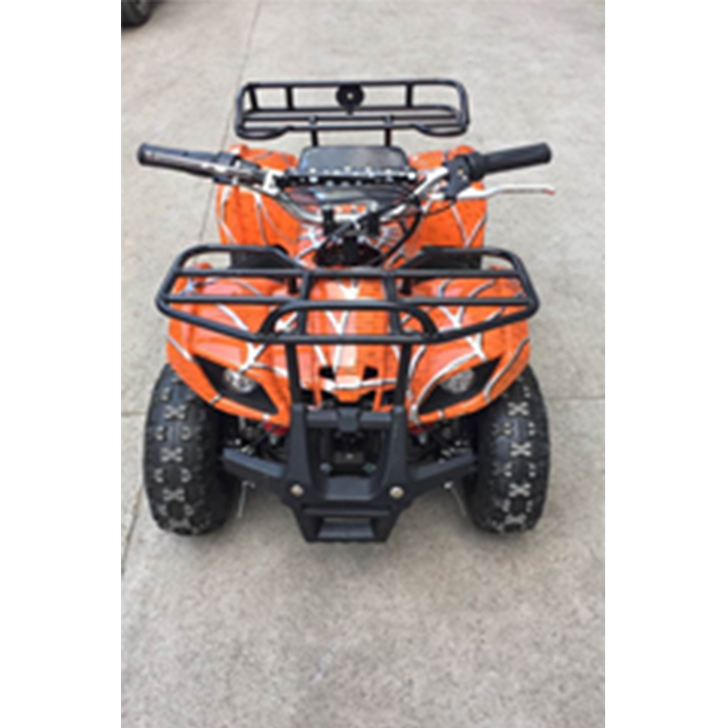 Высокое качество 500w 4 Wheeler квадроцикл Atv для детей