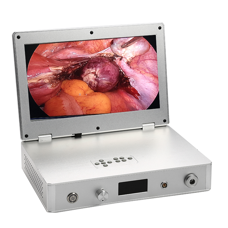 Veterinary surgery portable endoscope camera system with 15.6 inch display USB for record videos