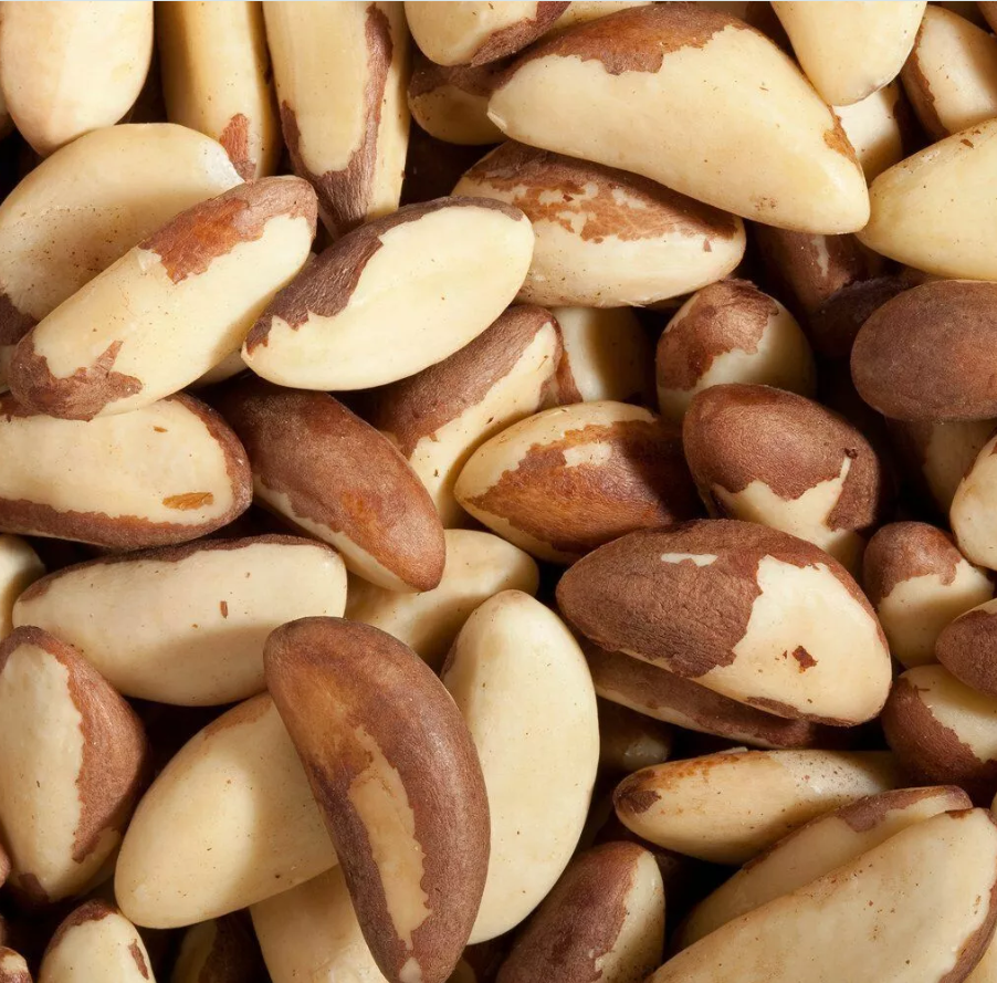 Premium Quality Fresh Brazil Nut Unsalted for Food Use