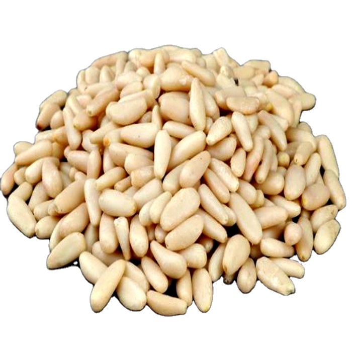 chinese Siberia quality bulk blanched raw pine nut kernels prices