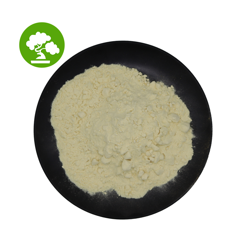 High Quality Bee Royal Jelly Lyophilized Powder 1kg