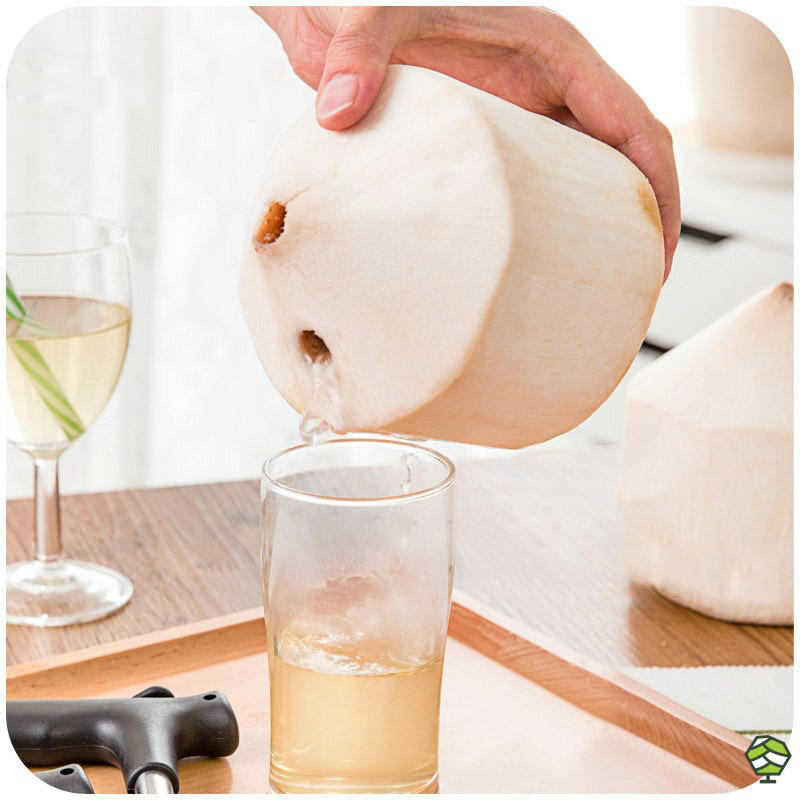 Home Fruit Pitting Tool To Open Coconut Artifact Coconut Shell Breaker Hole Nut Punch Drilling Kitchen Tools