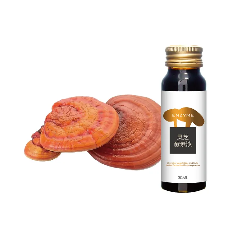 Natural Ganoderma Regulate Immune System Food Grade Ganoderma Enzyme Oral Liquid