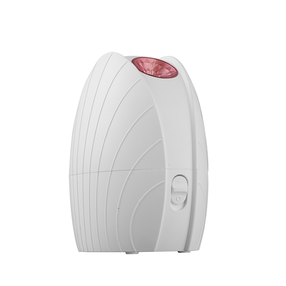 Face Steam Nano Ionic Spray Electric Professional Facial Steamer For Skin Nourishing Moisturizer Deep Cleansing Home Use Spa