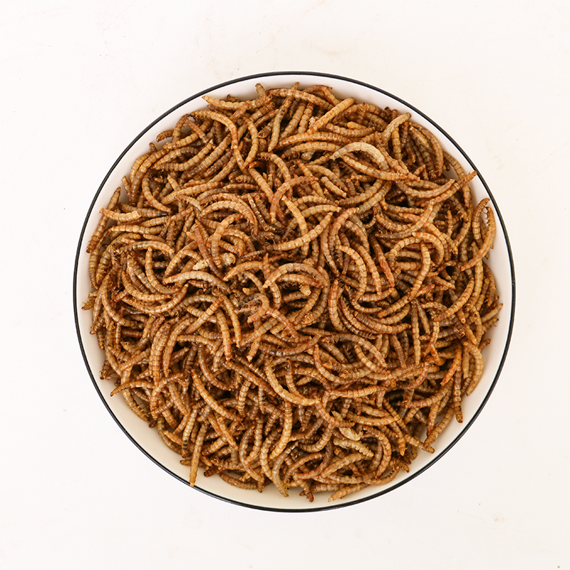 Wholesale dried mealworm pet food bird food feed hamster snacks dried mealworm