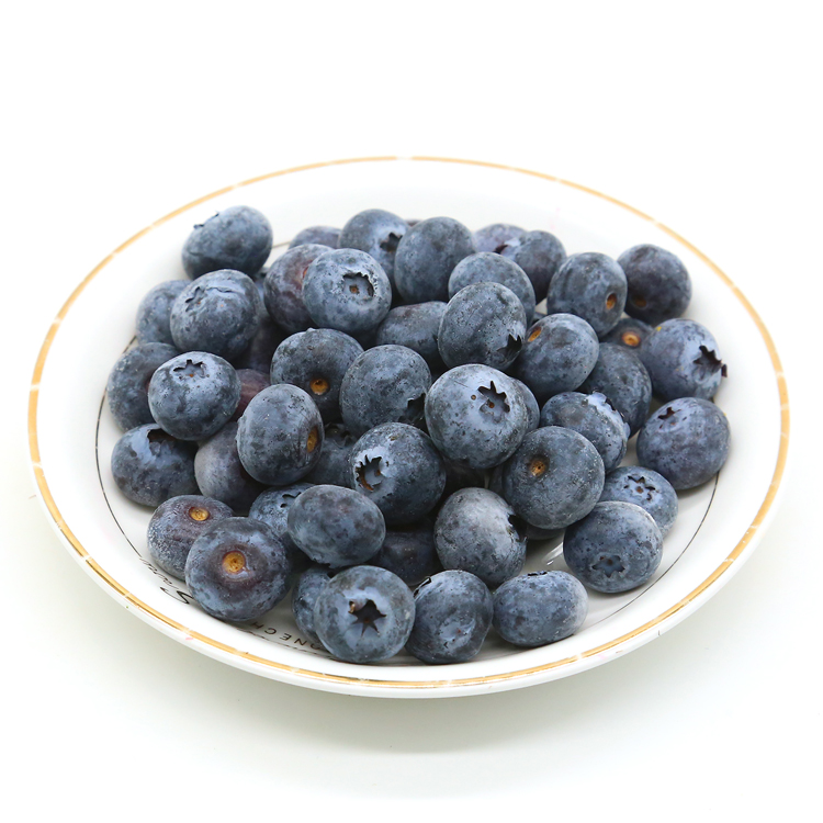 Good taste IQF fresh Blueberry Whole Frozen Fruits IQF Frozen Fruits