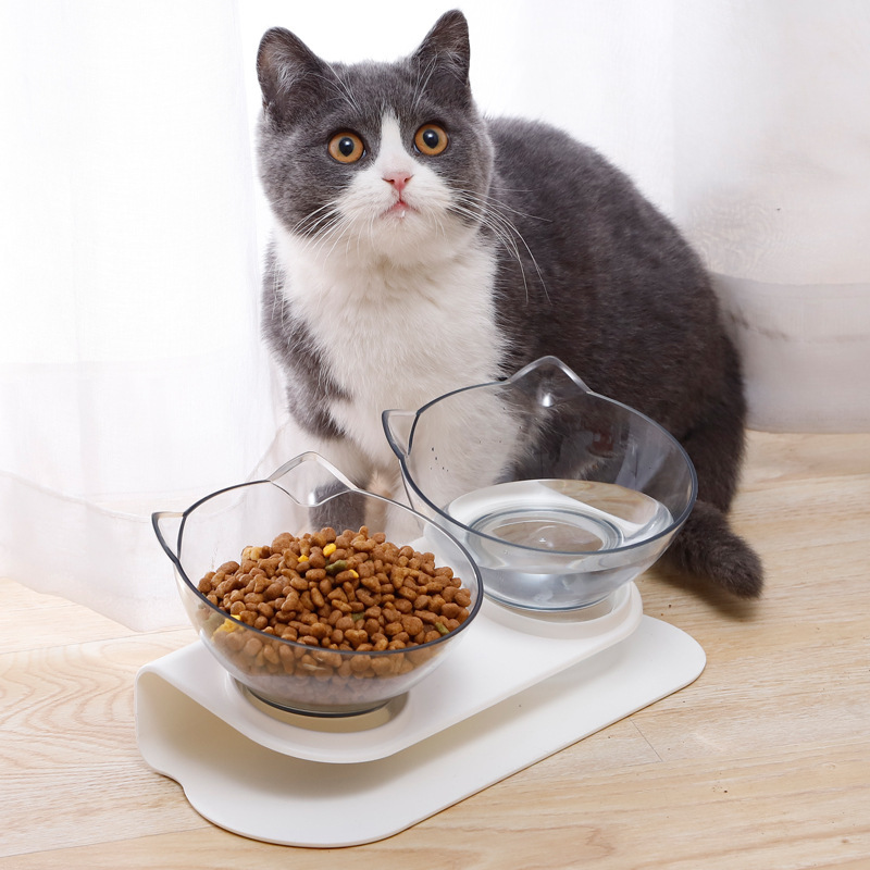 Cat Elevated Double Transparent Plastic Bowl Pet Feeding Bowl | Raised The Bottom For Cats And Small Dogs pet bowls  amp feeder