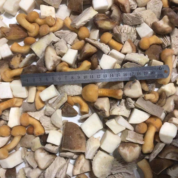 Замороженные смешанные грибы IQF, смешанные устрицы shiitake nameko boletus edulis