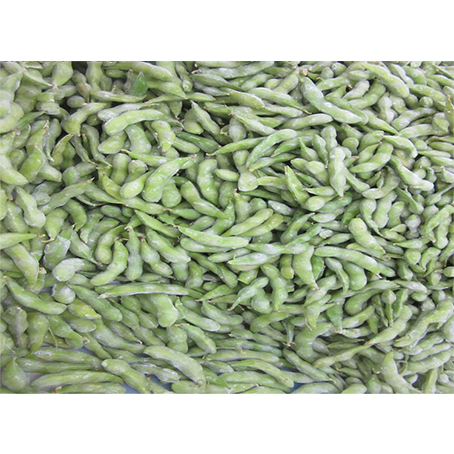 Organic IQF Green Soybean Edamame Peas BRC-Certified Whole Kernel Bean Fresh Artichoke Vegetable Sprout Halal Peeled Frozen