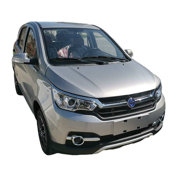 Fully Enclosed Electric Four-wheeled Vehicle Manufacture Four Wheel Electric Environmental Protection Car Small Electric Car