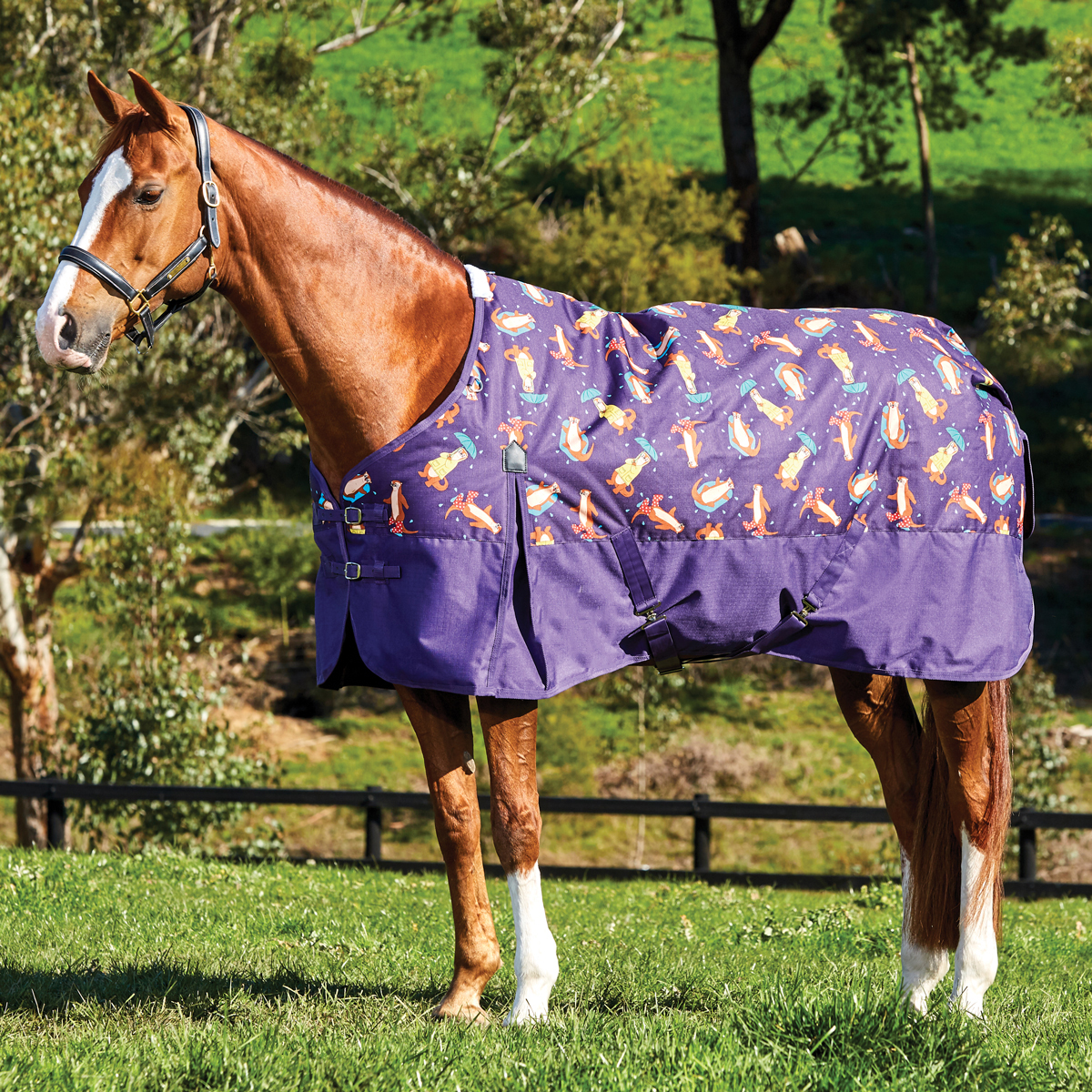 Wholesale Comfortable Durable Waterproof Printed Horse Blankets Custom Solid Fleece Blanket Horse Rugs