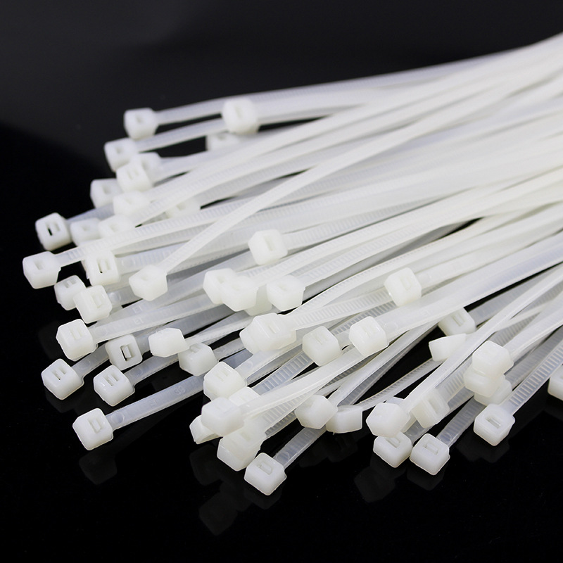 Self-Locking Nylon 66 Cable Zip Tie