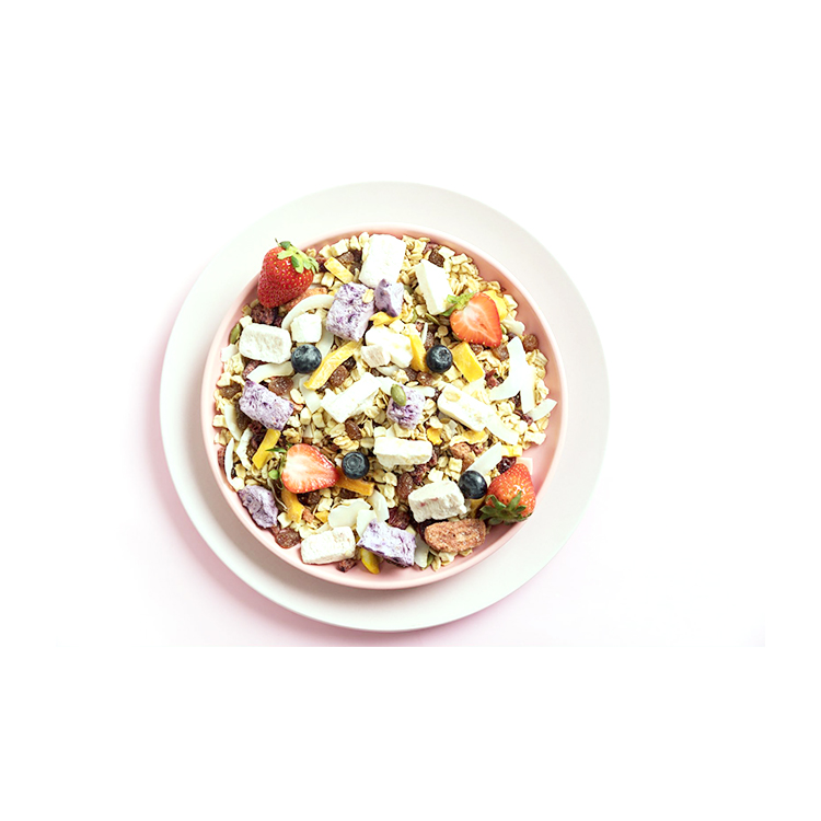 Hot Sale Best Quality High Quality Private Label Fruits Cereals Breakfast Oatmeal