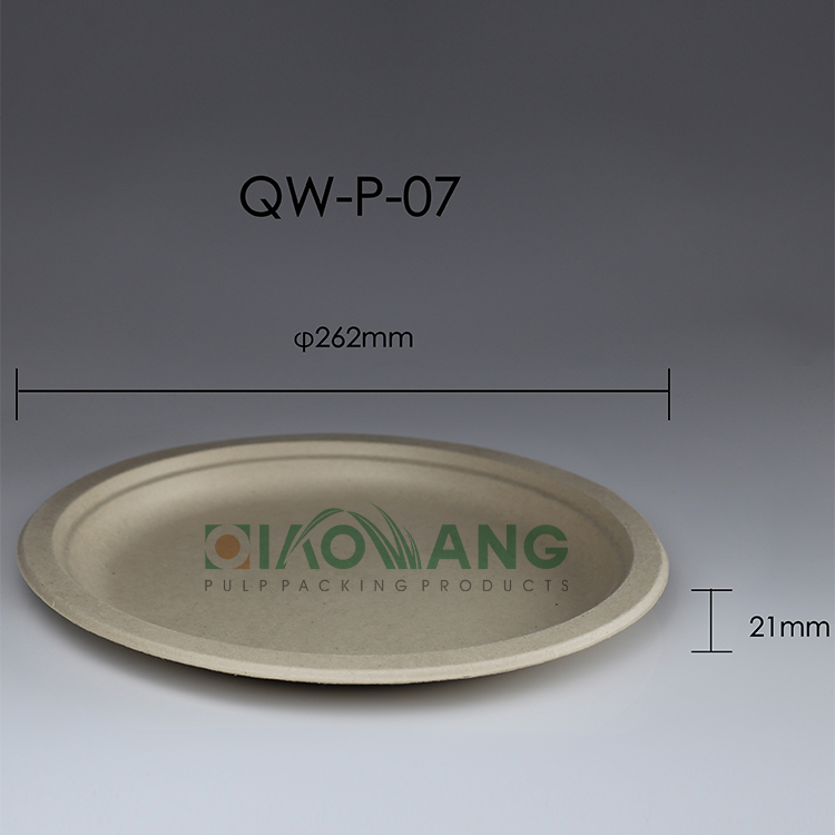 Factory Direct Supply 100%biodegradable disposable sugarcane bagasse food container tableware