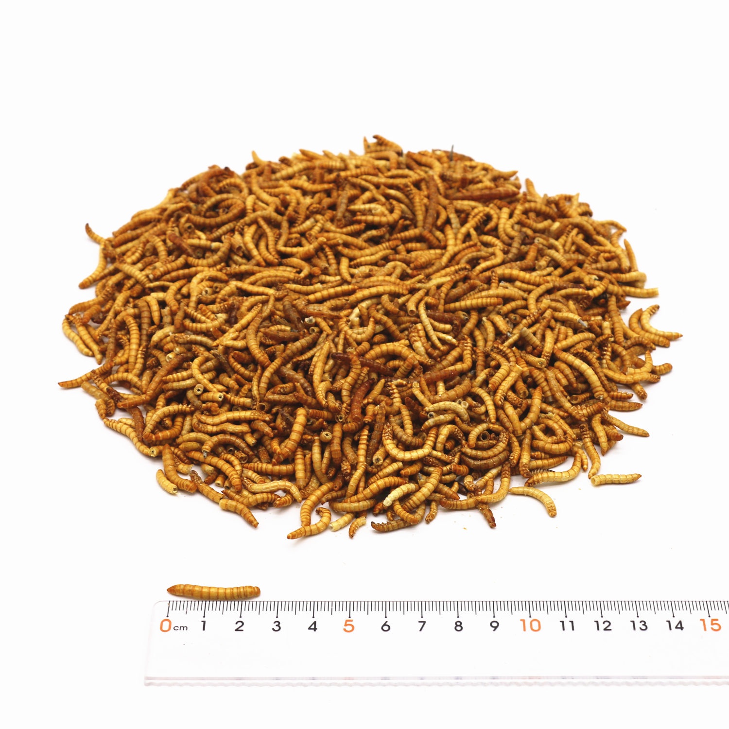Hot sale freeze dried mealworms for Small Pet food