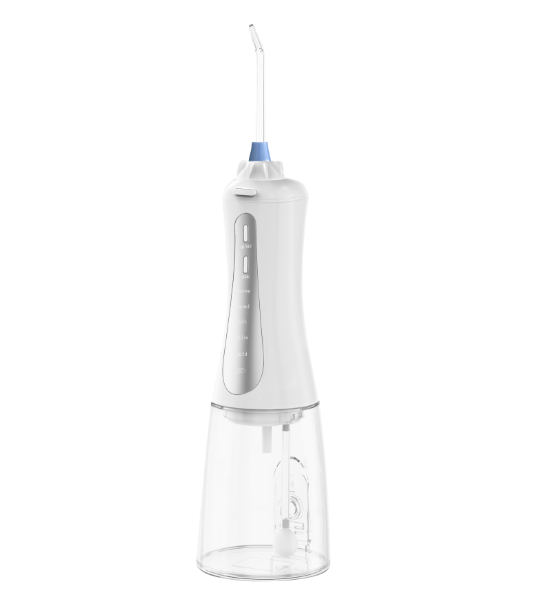 2021 new product factory supply Waterproof Water Flosser with certification