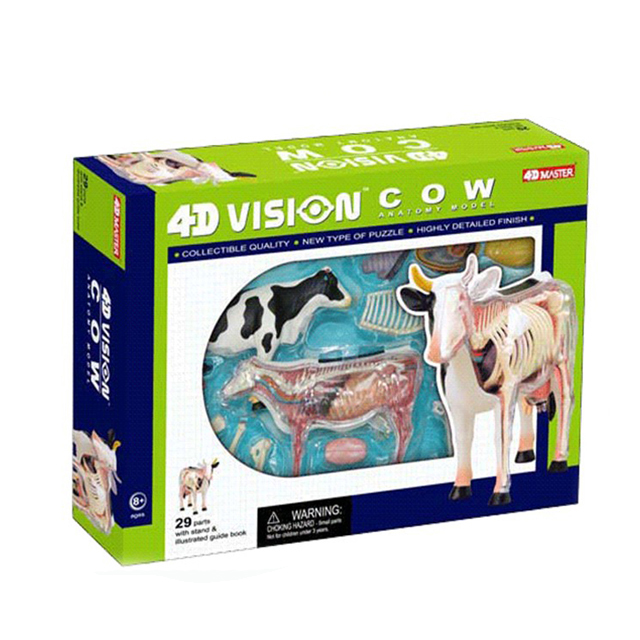 4D master игрушка, образец крупного рогатого скота, анатомическая модель для обучения