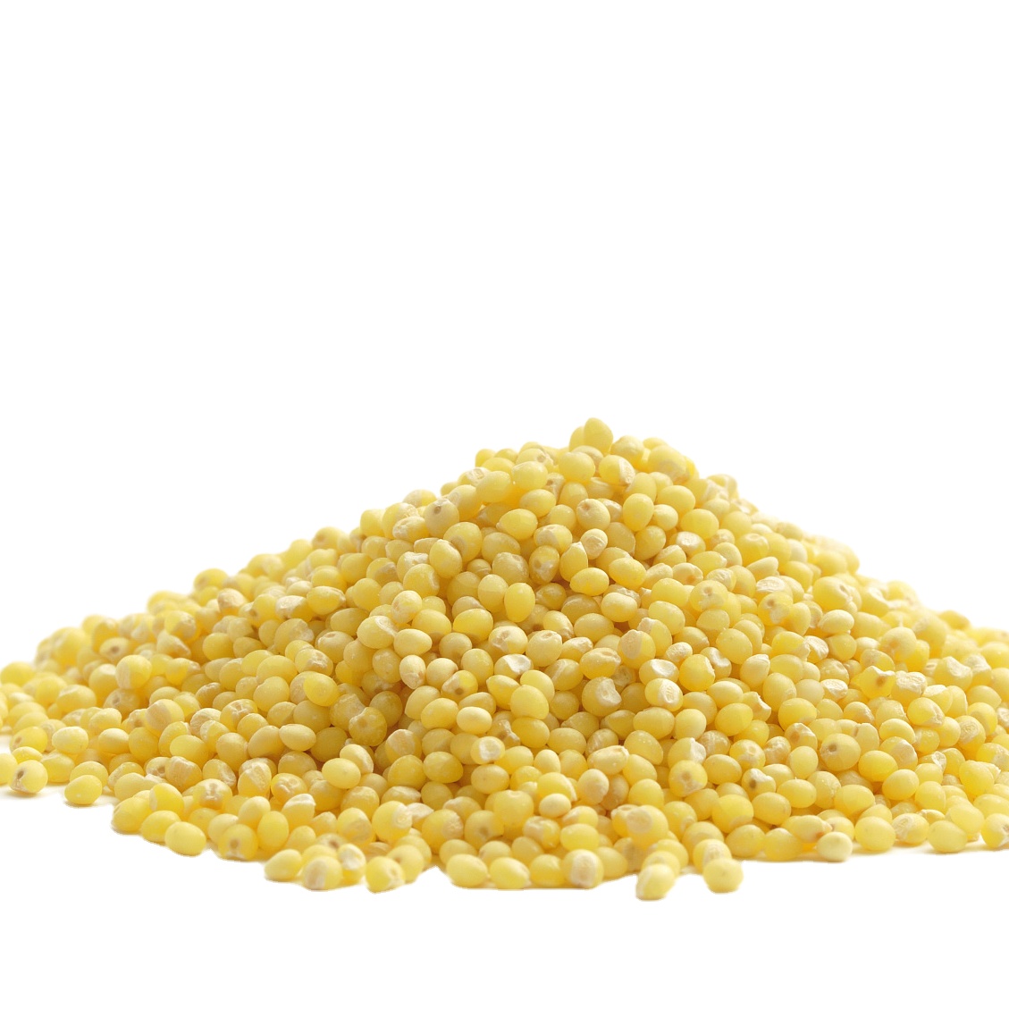 China Yellow Millet with lowest price