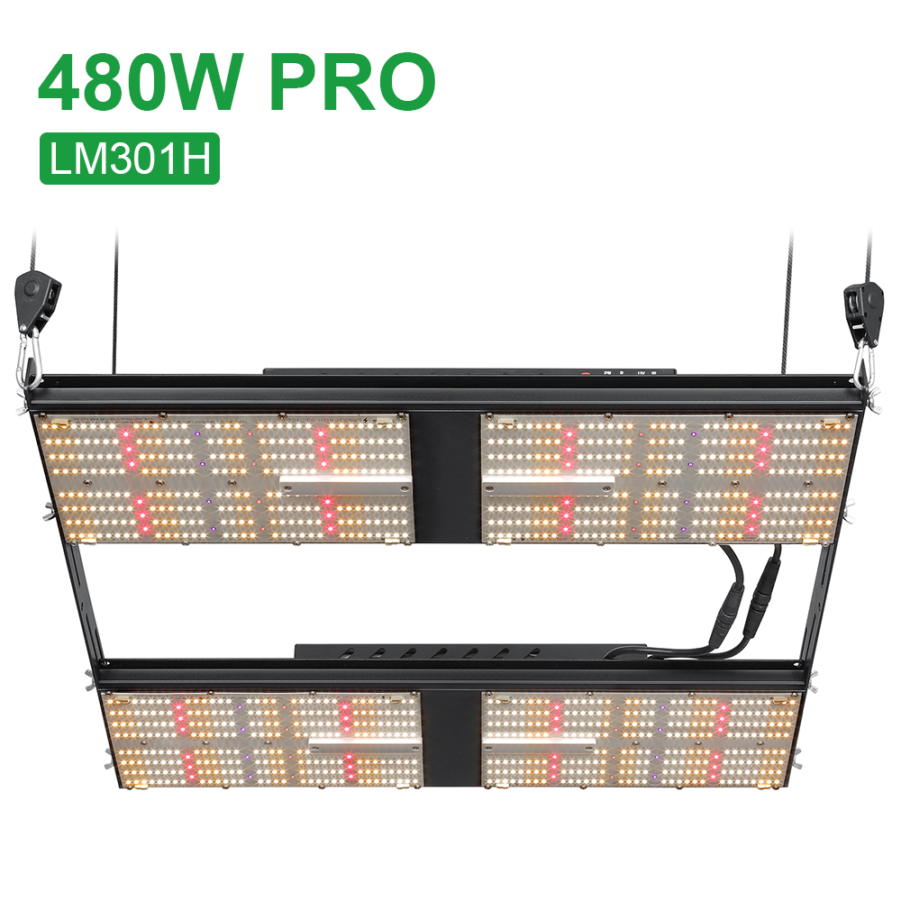 Bavagreen Регулируемый спектр с регулируемой яркостью 480 Вт LED Grow Light новейший коммерческий профессиональный 600 Вт полный спектр Grow LED Light