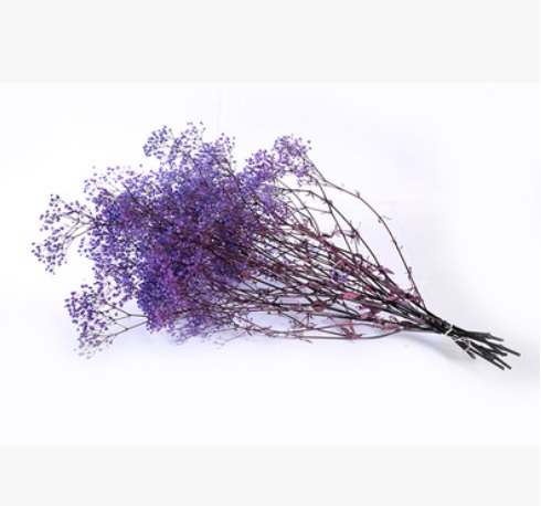 Украшение для дома, композиция из цветов, натуральный Babysbreath Gypsophila, миллион звезд