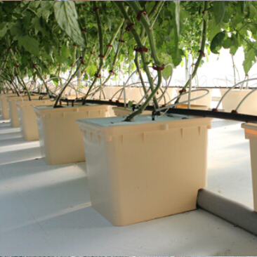 2022 High Quality Professional Dutch Bucket Bato Pot Nft Channel Hydroponic Growing System for Tomatoes Cucumber Pepper Farming