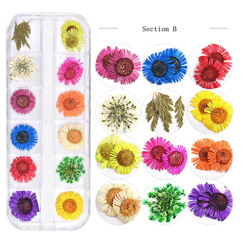 New Japanese Nail Dried Flowers 12-color Star Star Sun Flower Small Daisy Nail Decoration