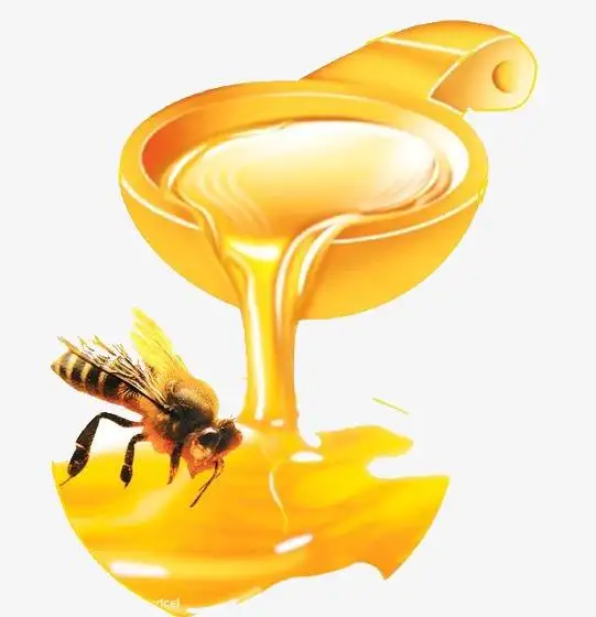 Bulk Wholesale Spray Dried Price 100% Pure Organic Natural Dry honey powder