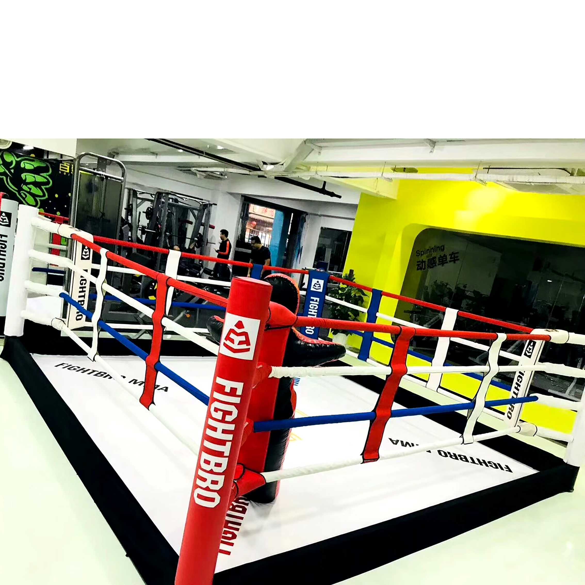 Fighttro профессиональное официальное напольное боксерское кольцо с вашим логотипом напечатано в комплекте
