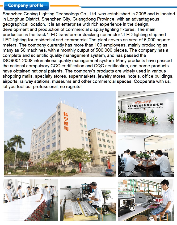 Easy Installation  Aluminum Profile DC 48V  Hoisting  LED Magnetic Track Lighting System