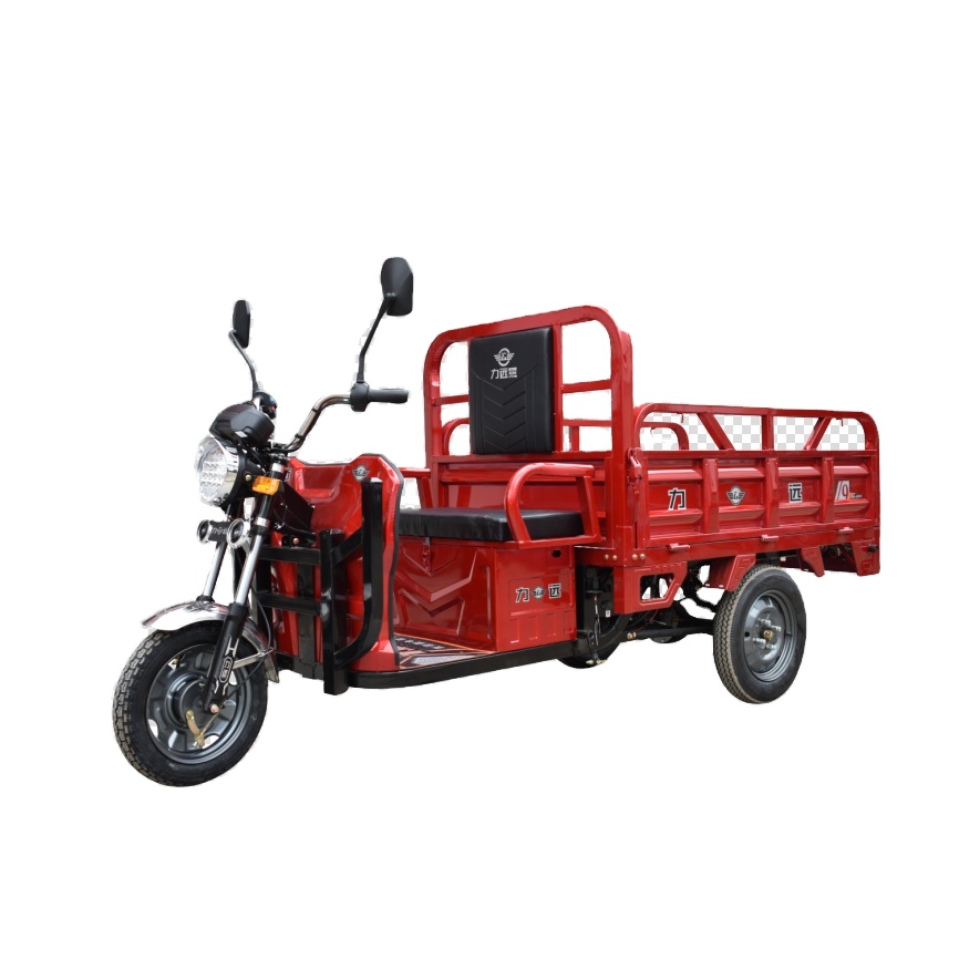 The hottest selling 60v1000w 3 wheel electric bike cargo electric tricycle for sale