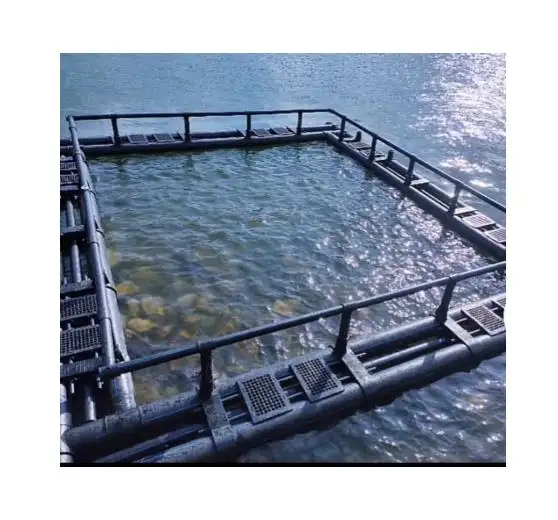 fish farming cage sets sea