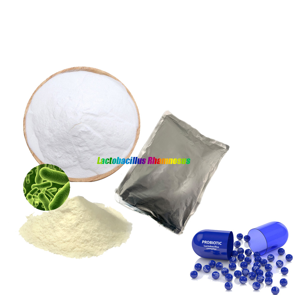OEM ODM Freeze dried powders of probiotics for Lactobacillus rhamnosus 50 100 200 300 billion CFU for fermented dairy products
