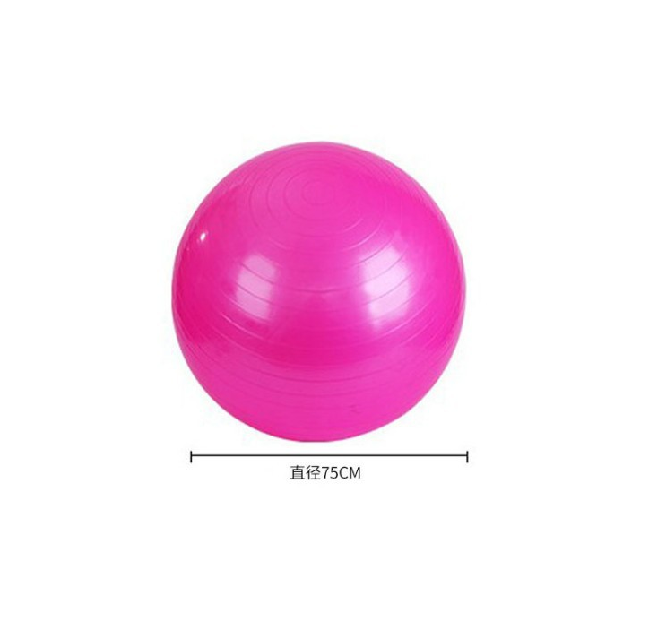 Anti Burst Balance Exercise Ball Gym 55cm Premium Black PVC Yoga Ball In Guangzhou