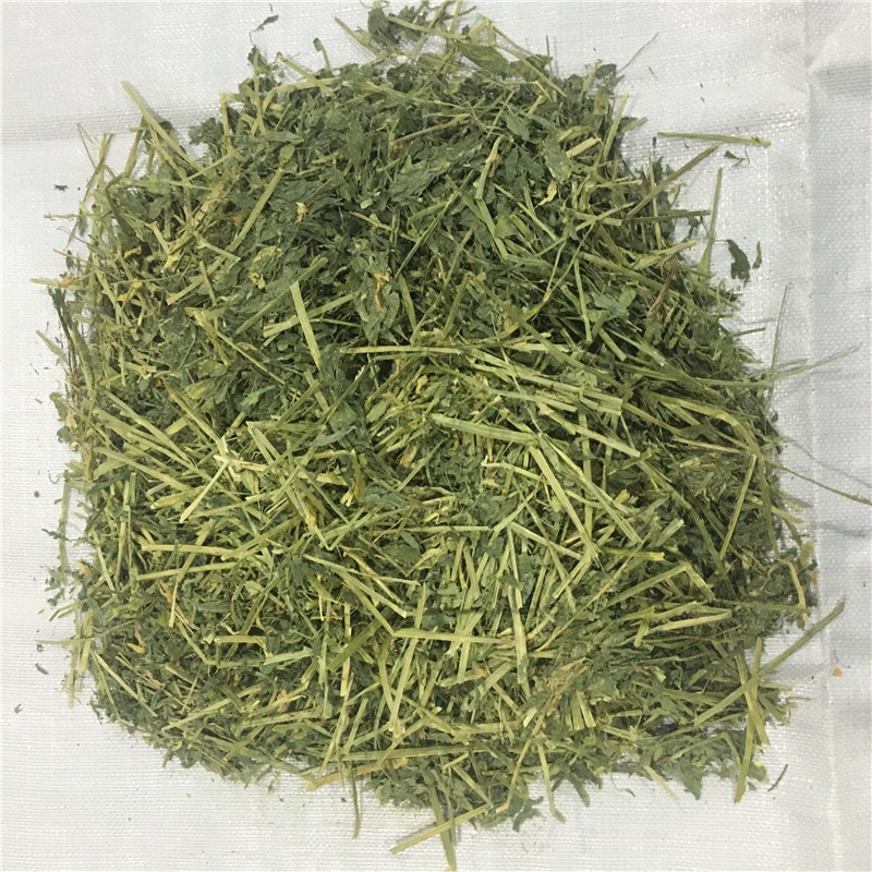 Яркая Альфальфа, сено, Люцерна, цена на продажу