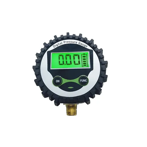 Stable Performance Industrial Digital Water Pressure Gauge Meter