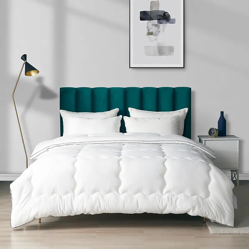 Warm Fluffy Hypoallergenic for All Season Alternative Quilted Hotel Collection Reversible Duvet Insert