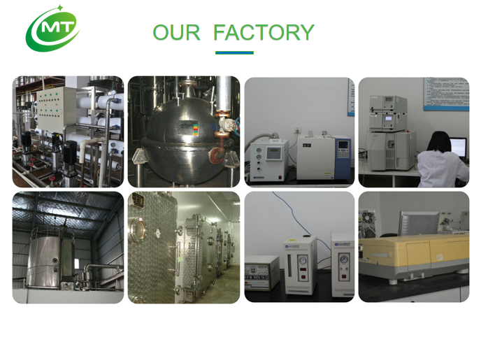 ISO High quality wholesale Organic curry powder free sample curry leaves powder Flavor
