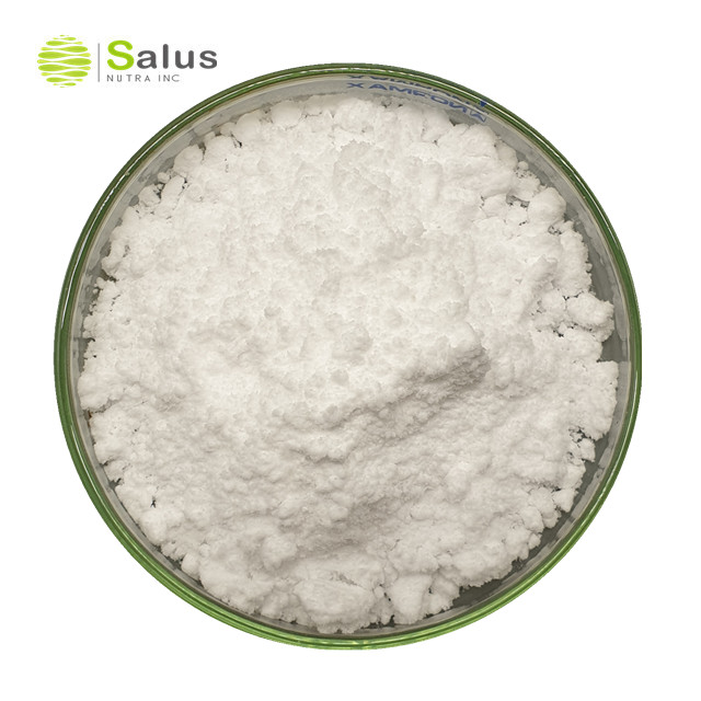 Hot Sale Probiotics Lactobacillus rhamnosus