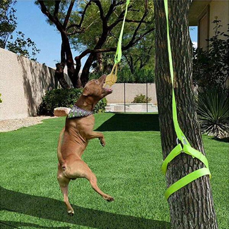 Outdoor Hanging Bungee Dog Tug Toy Interactive Tug-of-War Game for Pitbull & Small to Large Dogs