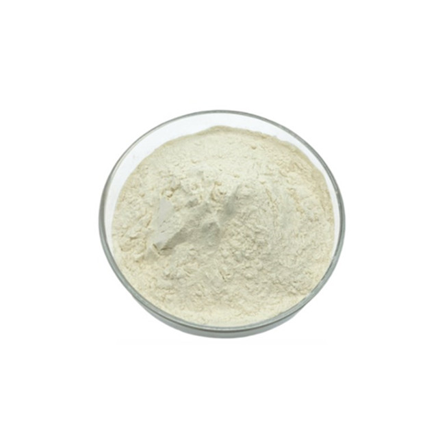 Wholesale High Quality Sea Cucumber Peptides Polypeptide Powder