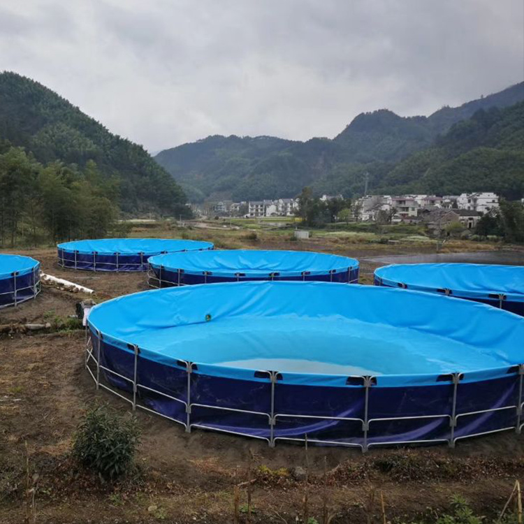 Factory direct sales high quality pvc tarpaulin fish tank pond tarpaulin fish tank farming tarpaulin fish tank
