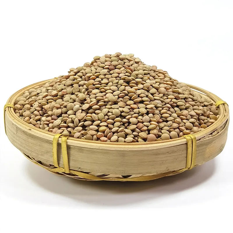 Wholesale High Quality Green Lentils