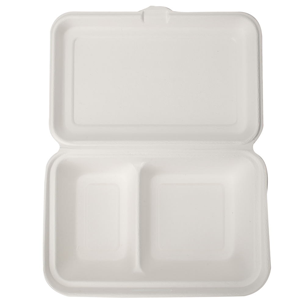 Hot Selling 2 Compartment Biodegradable Lunch box Sugarcane pulp hot lunch box With Lids custom disposable food container