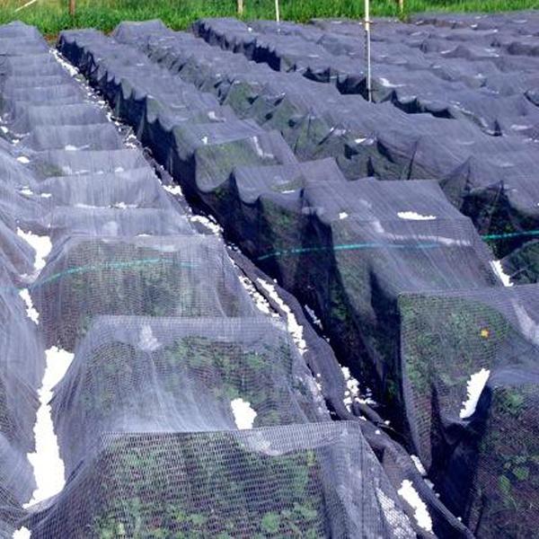 Китай, поставка 100, новая hdpe сетка от града, яблоко, сельскохозяйственная сетка от града