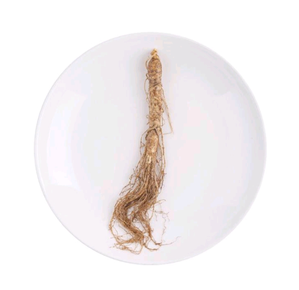 Northeast Characteristic Ginseng is sold in large quantities, the export is selling well