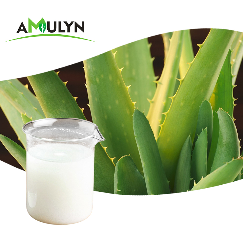 Aloe vera extract. Aloe barbadensis leaf juice powder. Алоэ в разрезе. Aloe barbadensis leaf extract. Aloe vera extract.