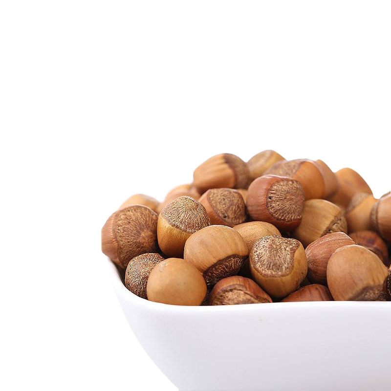 High Nutrition Hazelnut Kernel Roasted Organic High Quality Premium Selected Original Nutritious Delicious open Hazelnut