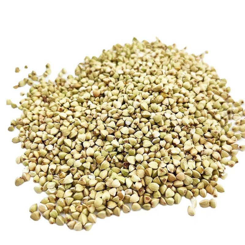 2024 new crop buckwheat filling roasted buckwheat on sale